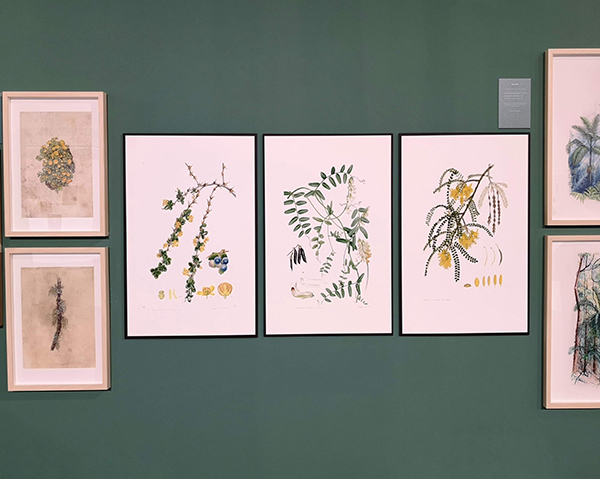 Ellas Ilustran Botánica, Spain