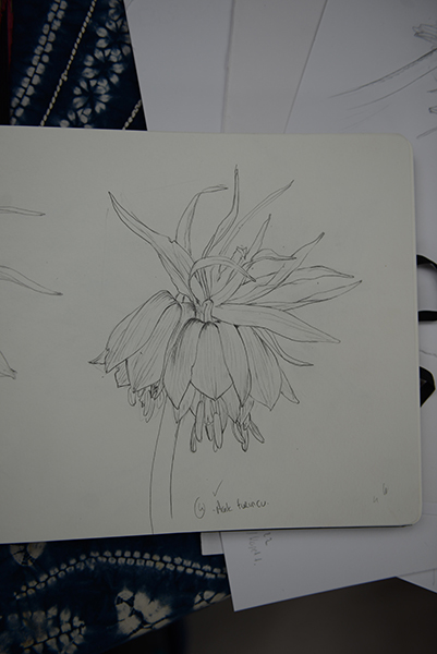 Back to Sason - Fritillaria imperialis