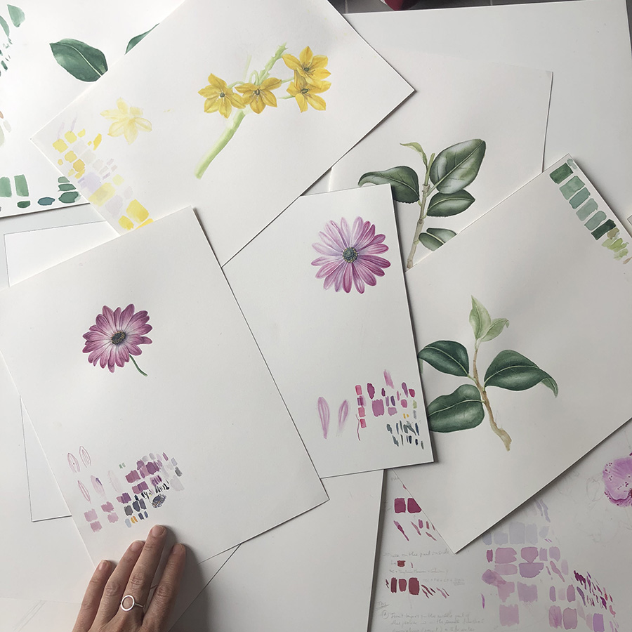 2020 Painting Plants: First breath into Botanical Illustration, Barcelona