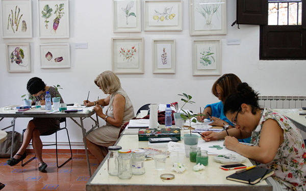 Botanical Illustration Workshop, Barcelona Botanic Garden