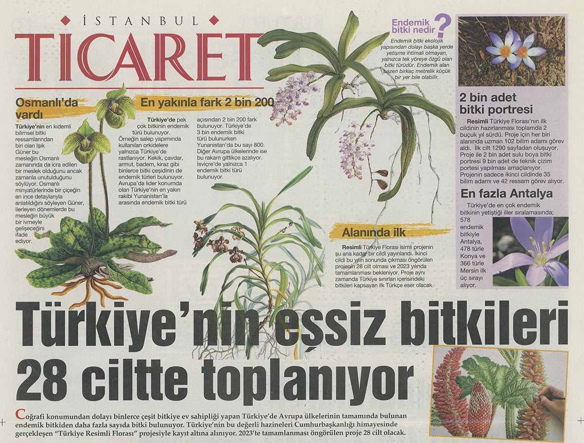 0İstanbul Ticaret Gazetesi - Sümeyra Yarış Topal